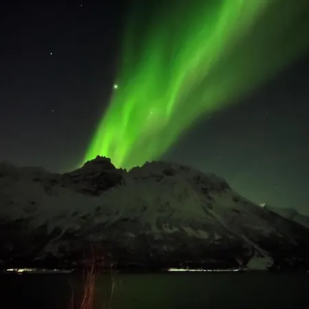 Beautiful With Sea View, Between Lyngen And Tamok 아파트 *